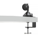 Fiilex V3 Color Viewing Lamp
