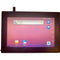 Mimo Monitors 10.1" Class WXGA HDMI Outdoor Non-Touch Monitor with Android 8.1