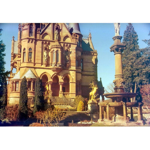 KONO Delight Art 400 Color Negative Film (120 Roll Film, Expired 04/2024)