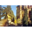 KONO Delight Art 400 Color Negative Film (120 Roll Film, Expired 04/2024)