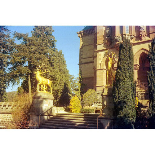 KONO Delight Art 400 Color Negative Film (120 Roll Film, Expired 04/2024)