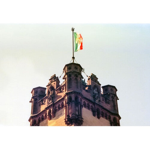 KONO Delight Art 400 Color Negative Film (120 Roll Film, Expired 04/2024)