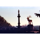 KONO Delight Art 400 Color Negative Film (120 Roll Film, Expired 04/2024)