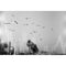 dubblefilm Glitch 200 B&W Negative Film (35mm Roll, 36 Exposures)
