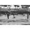 dubblefilm Glitch 200 B&W Negative Film (35mm Roll, 36 Exposures)
