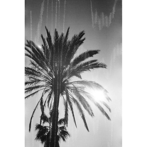 dubblefilm Glitch 200 B&W Negative Film (35mm Roll, 36 Exposures)