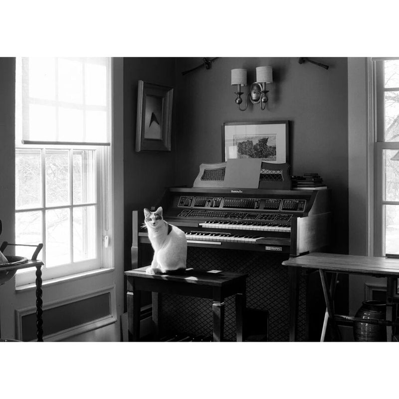 Ferrania Orto 50 ISO Orthochromatic Film (35mm Roll, 36 Exposures)