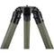 TALESPULL Venture 3-Section Carbon Fiber Tripod (Dark Green)
