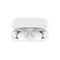 Belkin SoundForm Rhythm True Wireless Earbuds (White)