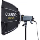 COLBOR Quick Release Octagonal Softbox with Grid (25.6")