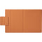 Boox Magnetic Cover Case for 10.3" Go (Orange)