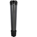 TALESPULL Venture 3-Section Carbon Fiber Tripod (Hidden Gray)