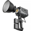 Yongnuo LUX200 Handheld Bi-Color LED Monolight Kit (Gray)