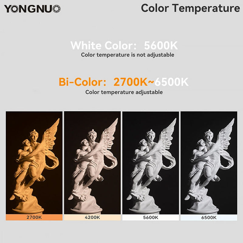 Yongnuo LUX200 Handheld Bi-Color LED Monolight Kit (Gray)