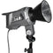 Yongnuo YNRAY360 Daylight LED Monolight