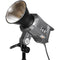 Yongnuo YNRAY360 Daylight LED Monolight