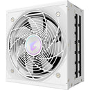 Gigabyte AORUS ELITE 1000W 80 PLUS Platinum Modular ATX Power Supply (ICE)