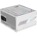 Gigabyte AORUS ELITE 850W 80 PLUS Platinum Modular ATX Power Supply (ICE)