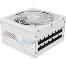 Gigabyte AORUS ELITE 850W 80 PLUS Platinum Modular ATX Power Supply (ICE)