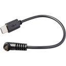 LightPix Labs USB-C to PC Sync Cord (5.9")