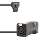 IndiPRO Tools D-Tap to Dual 4-Pin Female XLR Connectors Cable (24")