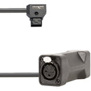IndiPRO Tools D-Tap to Dual 3-Pin Female XLR Connectors Cable (24")