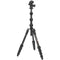 3 Legged Thing Albert 2.0 Tripod Kit with AirHed Pro Ball Head (Black)