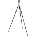 3 Legged Thing Albert 2.0 Tripod Kit with AirHed Pro Ball Head (Black)