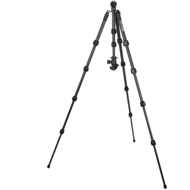 3 Legged Thing Albert 2.0 Tripod Kit with AirHed Pro Ball Head (Black)