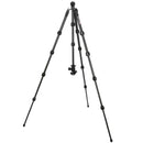 3 Legged Thing Albert 2.0 Tripod Kit with AirHed Pro Ball Head (Black)