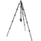 3 Legged Thing Albert 2.0 Tripod Kit with AirHed Pro Ball Head (Black)
