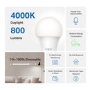 TP-Link Tapo L520E Smart Wi-Fi Light Bulb (Daylight, 4-Pack)