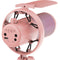FeelWorld VM1-AS USB-C Gaming Microphone with Boom Arm (Pink)