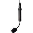 Earthworks C30-S ChoirMic Gen 2 Supercardioid Condenser Hanging Choir Microphone (Black)