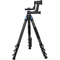 Sirui L-324F Landscape Carbon Fiber Tripod with PH-10 Gimbal Head
