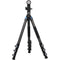 Sirui L-324F Landscape Carbon Fiber Tripod with PH-10 Gimbal Head
