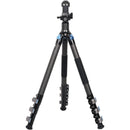 Sirui L-324F Landscape Carbon Fiber Tripod with PH-10 Gimbal Head