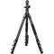 Sirui L-324F Landscape Carbon Fiber Tripod with PH-10 Gimbal Head