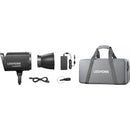 Godox Litemons LA200R RGB LED Monolight (Black, Travel Kit)