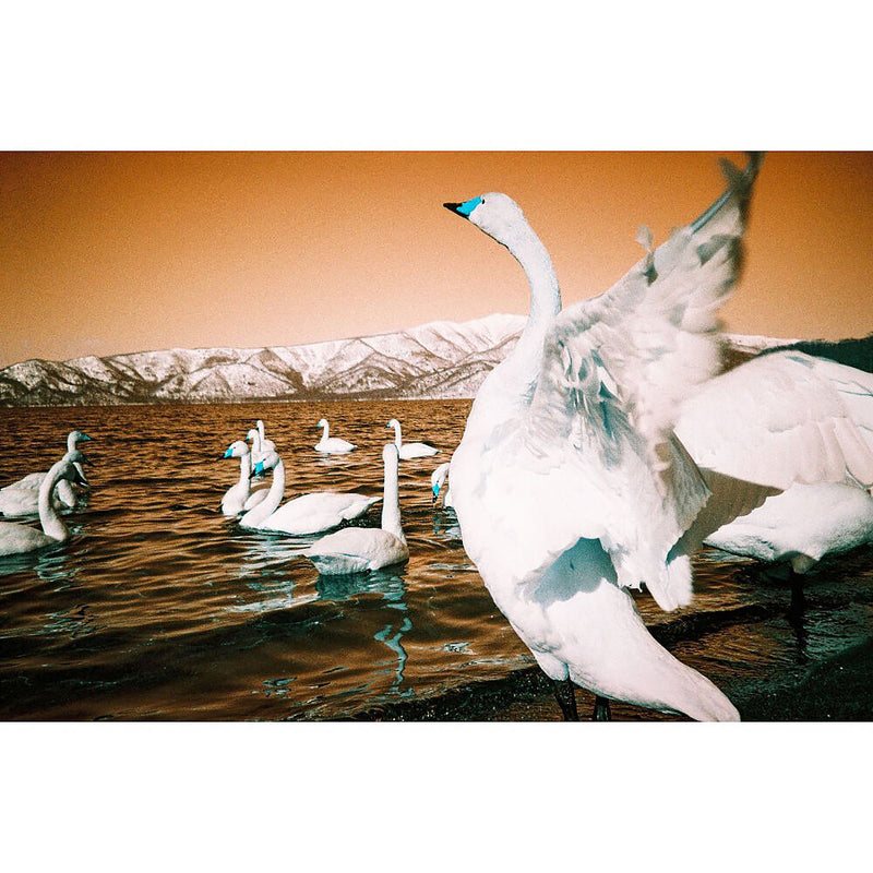 Lomography Analogue Trio Mixed Film Pack (35mm)