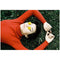 Lomography Analogue Trio Mixed Film Pack (35mm)