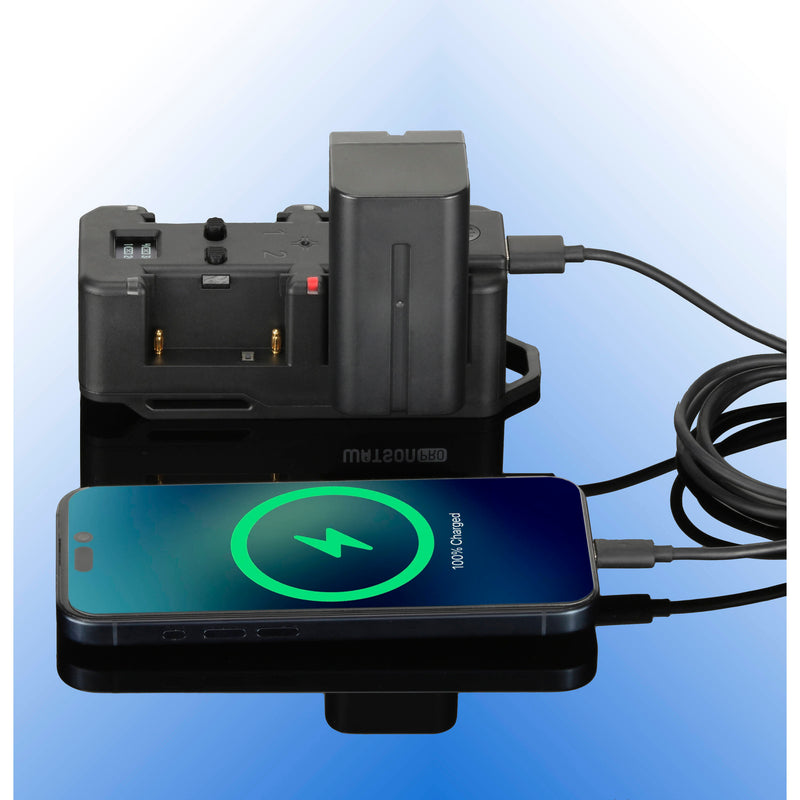 Watson 4-Bay NP-F Battery Charger