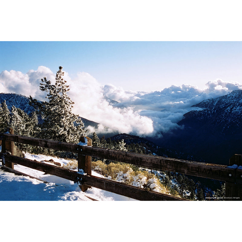 CineStill Film 50Daylight Xpro C-41 Color Negative Film (35mm Roll Film, 36 Exposures, Expires 01/2025 )