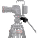 Niceyrig Video Tripod Side Plate with Rosette Mount (30T, M8 Thread)