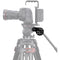 Niceyrig Video Tripod Side Plate with Rosette Mount (30T, M8 Thread)
