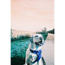 Lomography Simple Use Reloadable Turquoise Film Camera