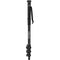 Ulanzi TT35 Monopod Hiking Pole with Ball Head