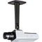 Axis Communications P1388 8MP Indoor Network Box Camera with 3.9-10mm Lens