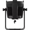 ProLights EclPar IPMFC IP65 100W RGB-WW/FC LED Spotlight (Black)
