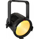 ProLights EclPar IPMFC IP65 100W RGB-WW/FC LED Spotlight (Black)